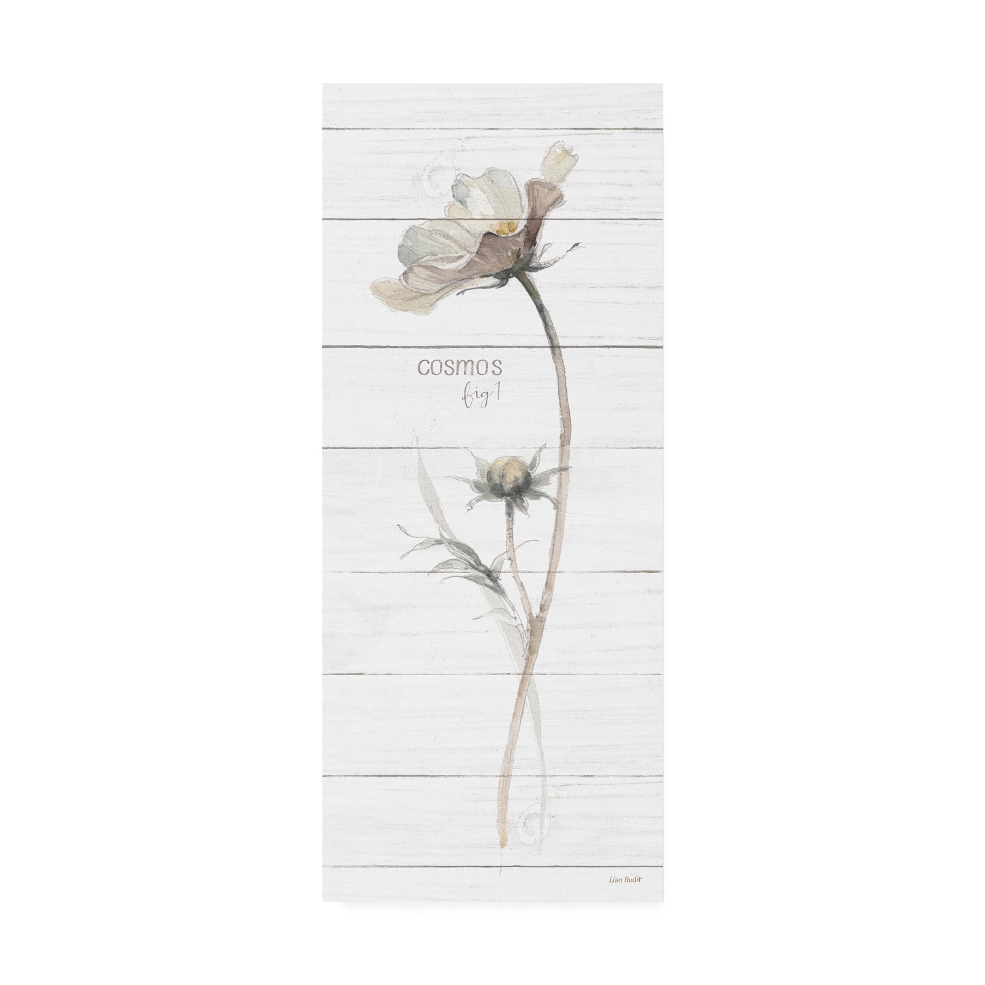 Trademark Fine Art 'A Country Weekend VII Shiplap Crop' Canvas Art by Lisa Audit