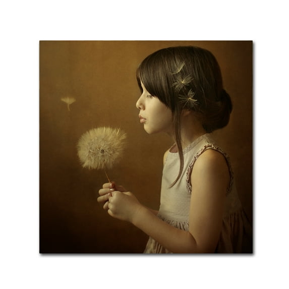 Trademark Fine Art 'A Dandelion Poem' Canvas Art by Svetlana Bekyarova