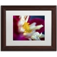 thumbnail image 1 of Trademark Fine Art "A Different Kind of Dahlia" Canvas Art by Kurt Shaffer, White Matte, Wood Frame, 1 of 4