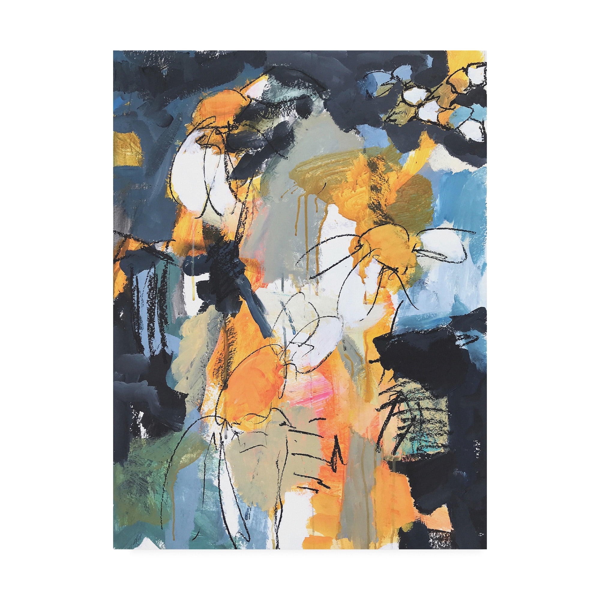 Trademark Fine Art 'Summer Fireworks 2' キャンバスアート Bigelow