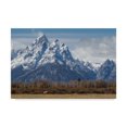 thumbnail image 1 of Trademark Fine Art 'A Horse In Front Of The Grand Teton' Canvas Art by Galloimages Online, 1 of 1