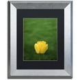 thumbnail image 1 of Trademark Fine Art "A Lone Yellow Tulip" Canvas Art by Kurt Shaffer, Black Matte, Silver Frame, 1 of 4