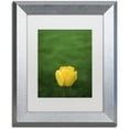 thumbnail image 1 of Trademark Fine Art "A Lone Yellow Tulip" Canvas Art by Kurt Shaffer, White Matte, Silver Frame, 1 of 4