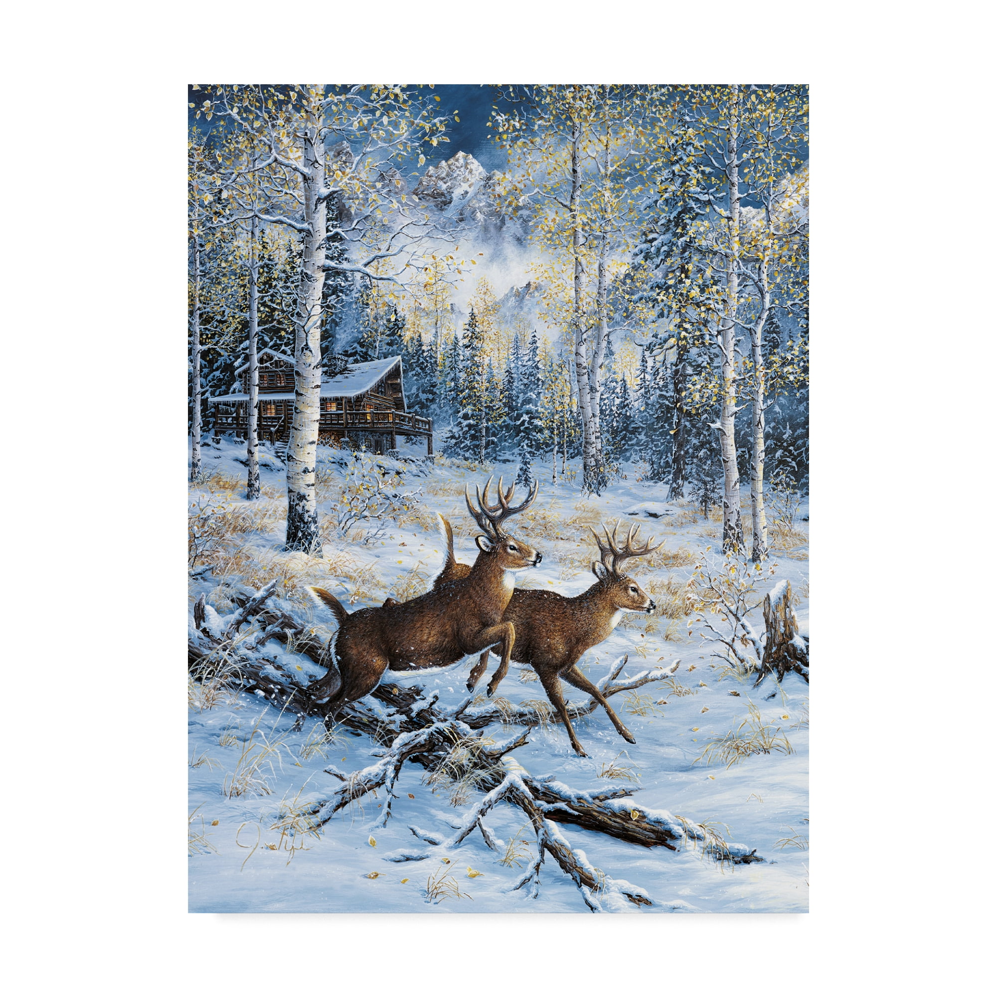 Trademark Fine Art 'A Pair' Canvas Art by Jeff Tift