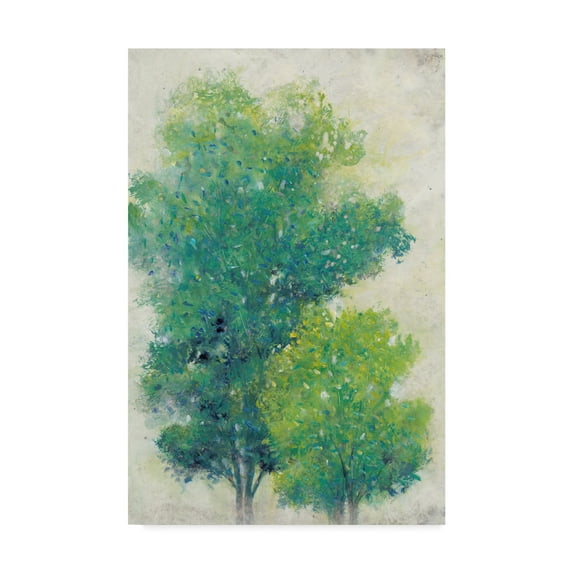 Trademark Fine Art 'A Pair of Trees I' Canvas Art by Tim OToole