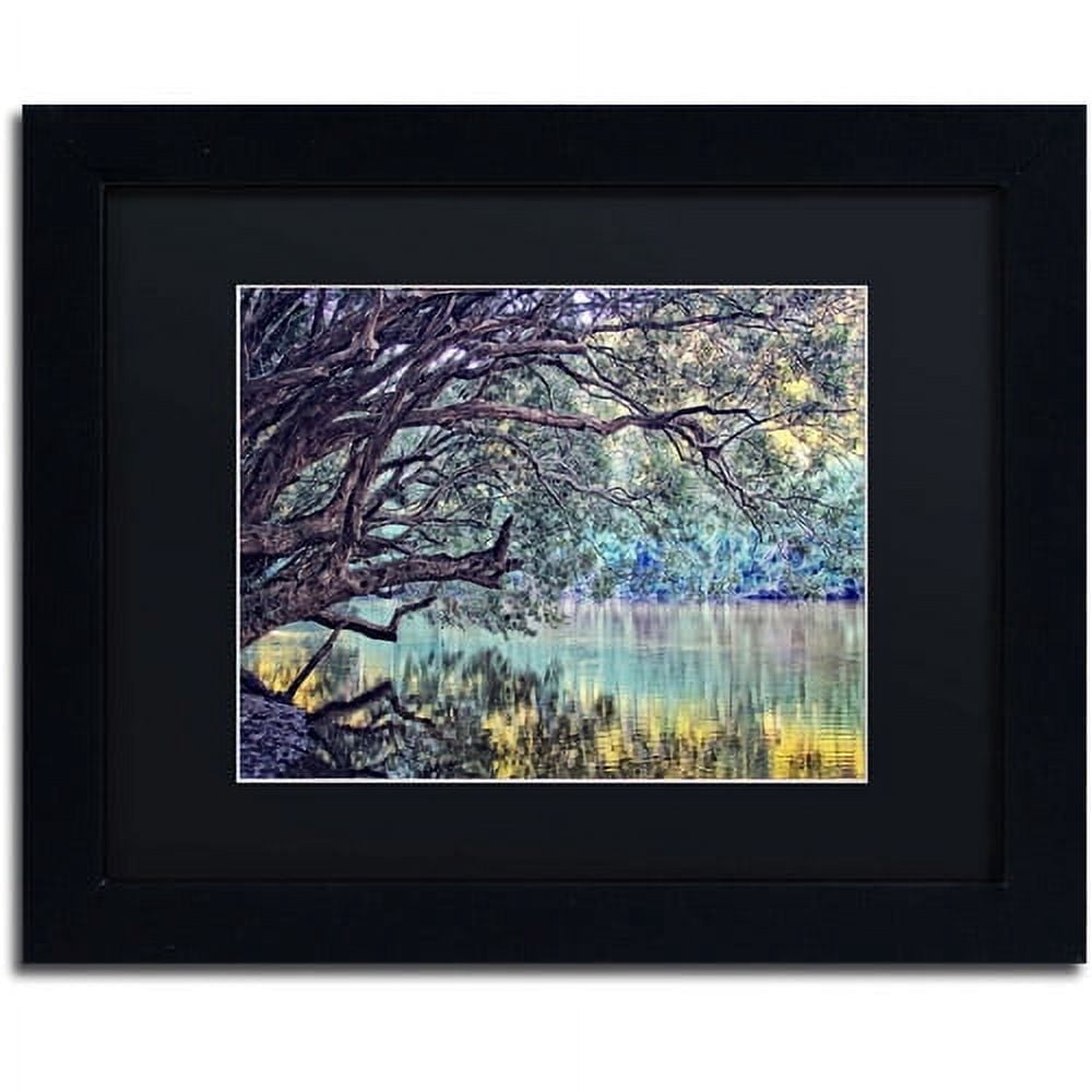 Trademark Fine Art "A Place to Dream" Canvas Art by Beata Czyzowska Young, Black Matte, Black Frame