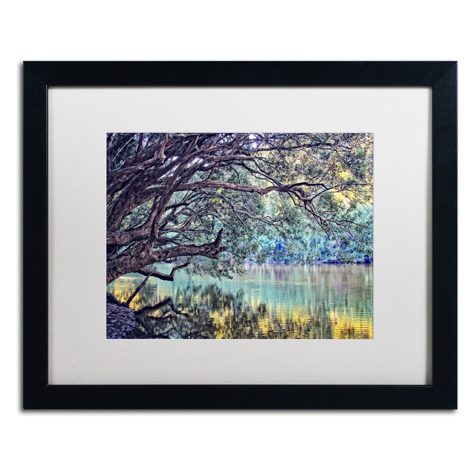 Trademark Fine Art "A Place to Dream" Canvas Art by Beata Czyzowska Young, White Matte, Black Frame