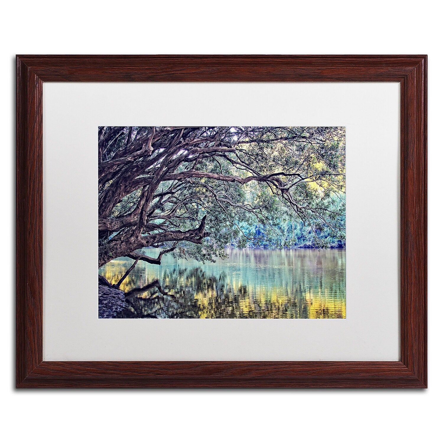 Trademark Fine Art "A Place to Dream" Canvas Art by Beata Czyzowska Young, White Matte, Wood Frame