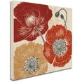 thumbnail image 1 of Trademark Fine Art "A Poppy's Touch II" Canvas Art by Daphne Brissonnet, 1 of 3