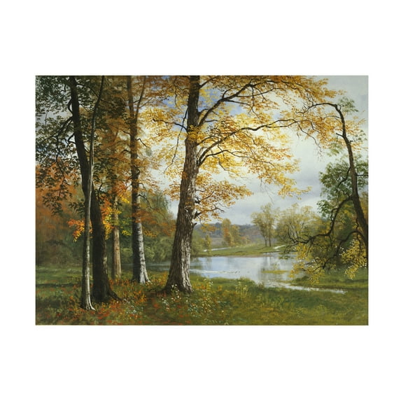 Trademark Fine Art Albert Bierstadt A Quiet Lake Canvas Wall Art - 35x47