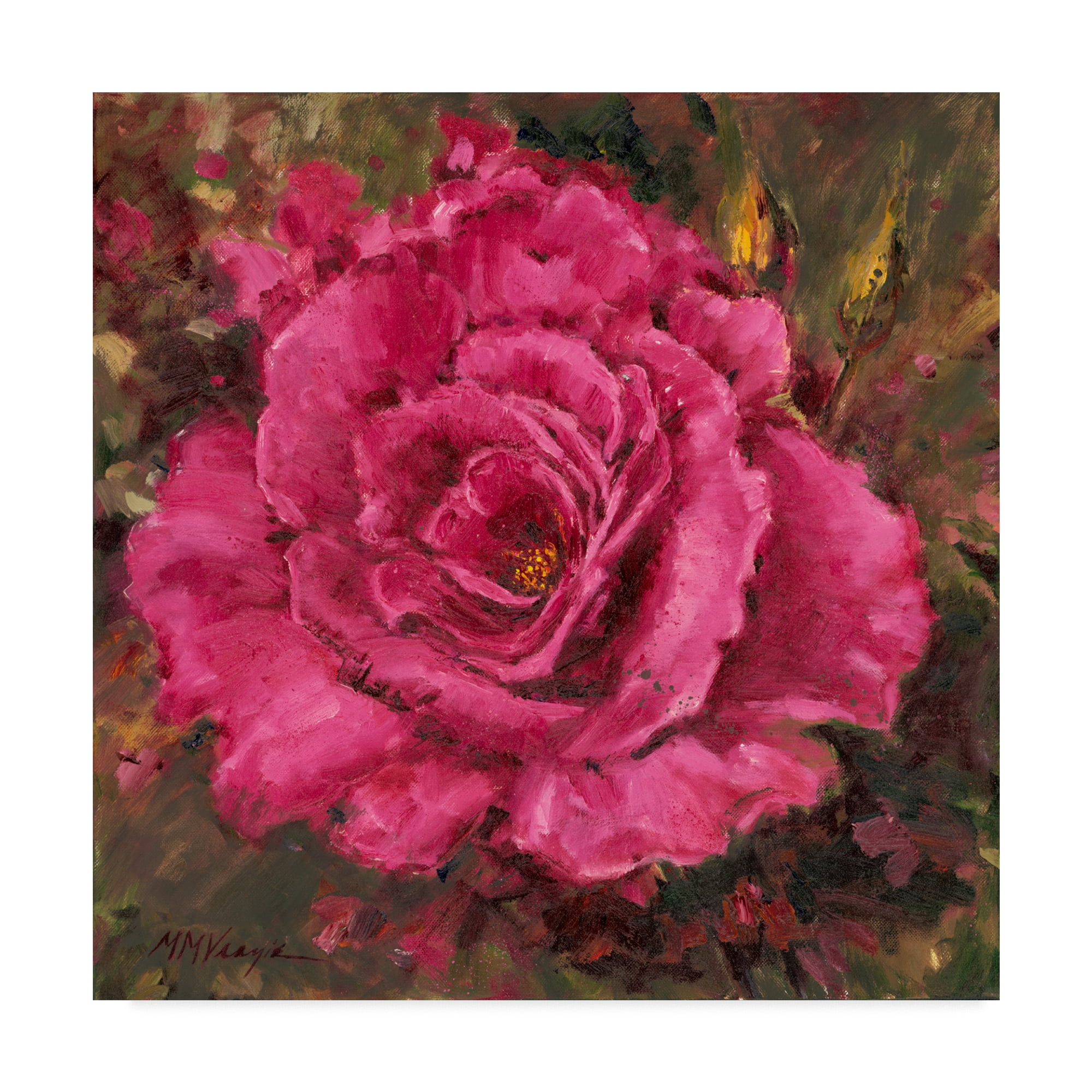 Trademark Fine Art 'A Rose Is A Rose' Canvas Art by Mary Miller Veazie