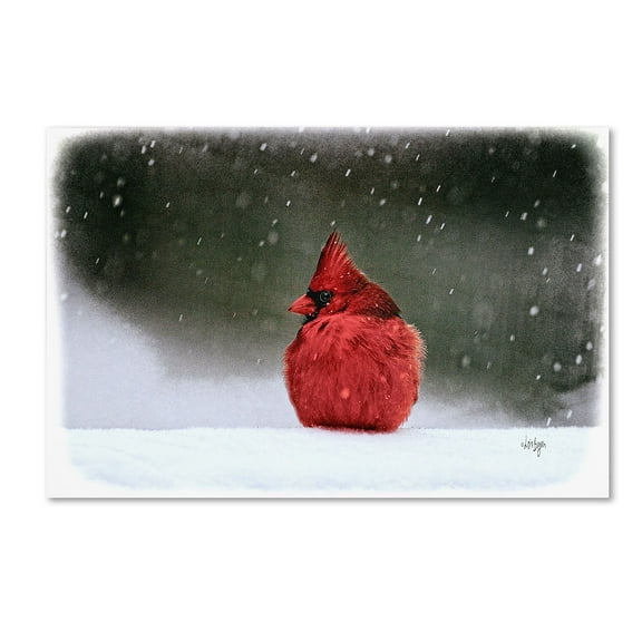 Trademark Fine Art "A Ruby in the Snow" Canvas Art by Lois Bryan
