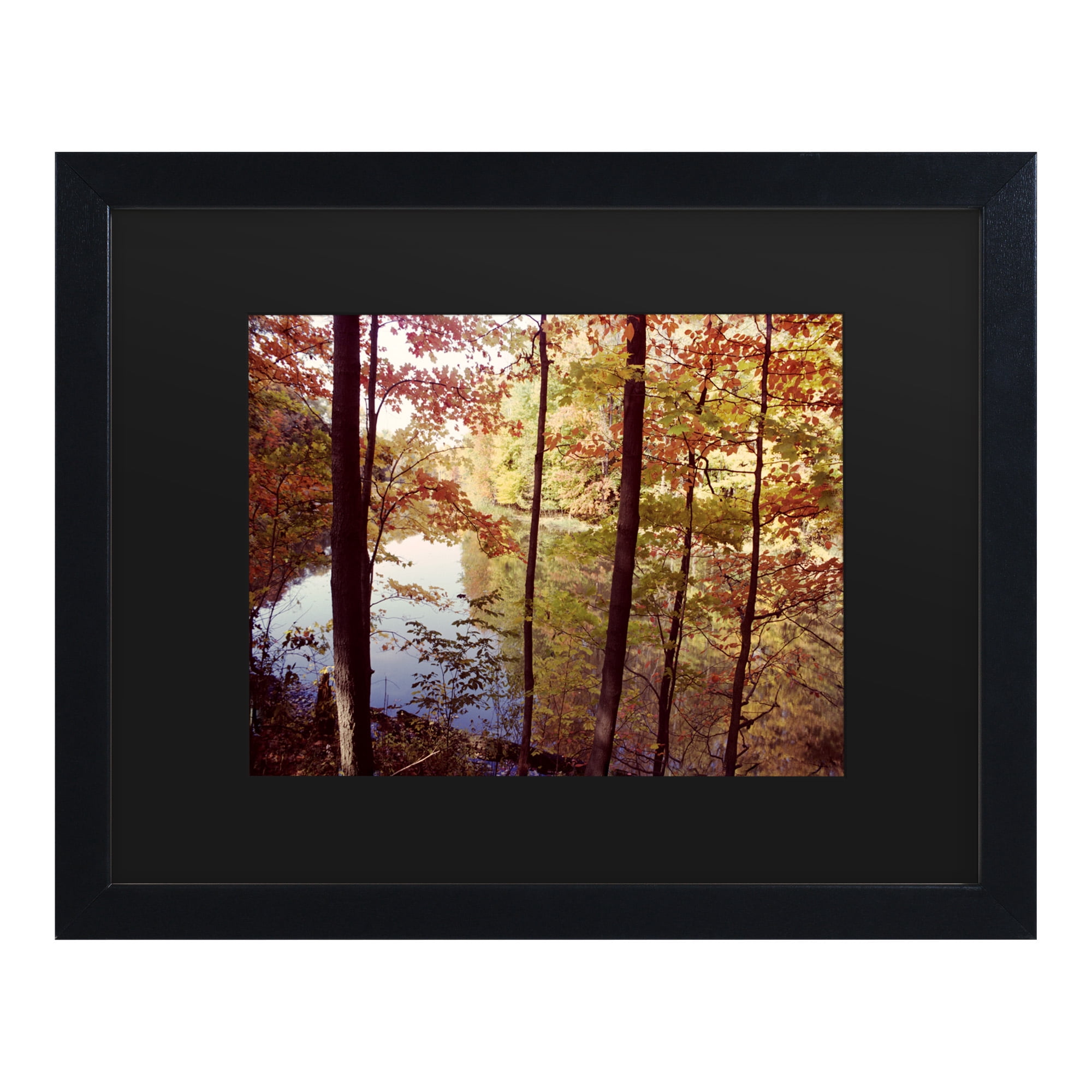 Trademark Fine Art 'A Secret Pond' Canvas Art by Kurt Shaffer