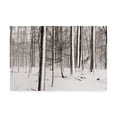 thumbnail image 1 of Trademark Fine Art 'A Snowy Walk I' Canvas Art by James McLoughlin, 1 of 4