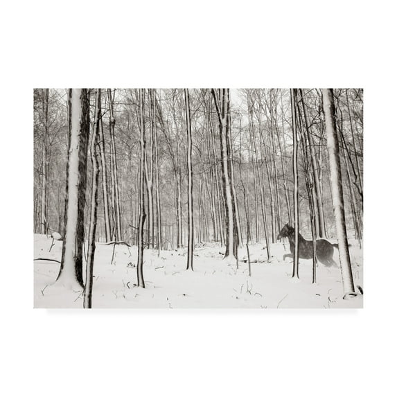Trademark Fine Art 'A Snowy Walk II' Canvas Art by James McLoughlin