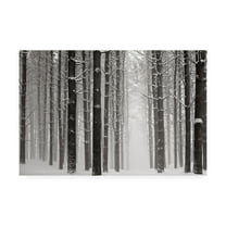 Trademark Fine Art 'A Snowy Walk V' Canvas Art by James McLoughlin