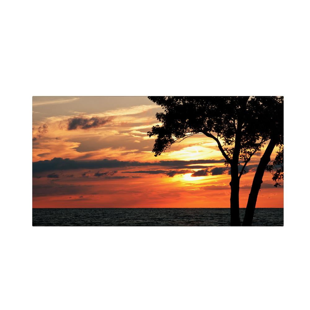 Trademark Fine Art "A Special Sunset" Canvas Art by Kurt Shaffer