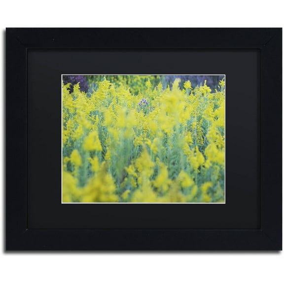 Trademark Fine Art "A Touch of Purple" Canvas Art by Kurt Shaffer, Black Matte, Black Frame