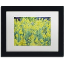 Trademark Fine Art "A Touch of Purple" Canvas Art by Kurt Shaffer, White Matte, Black Frame