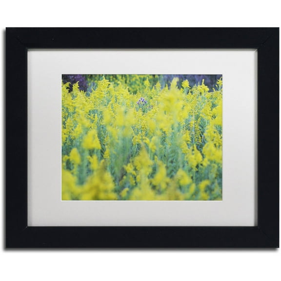 Trademark Fine Art "A Touch of Purple" Canvas Art by Kurt Shaffer, White Matte, Black Frame