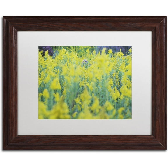 Trademark Fine Art "A Touch of Purple" Canvas Art by Kurt Shaffer, White Matte, Wood Frame