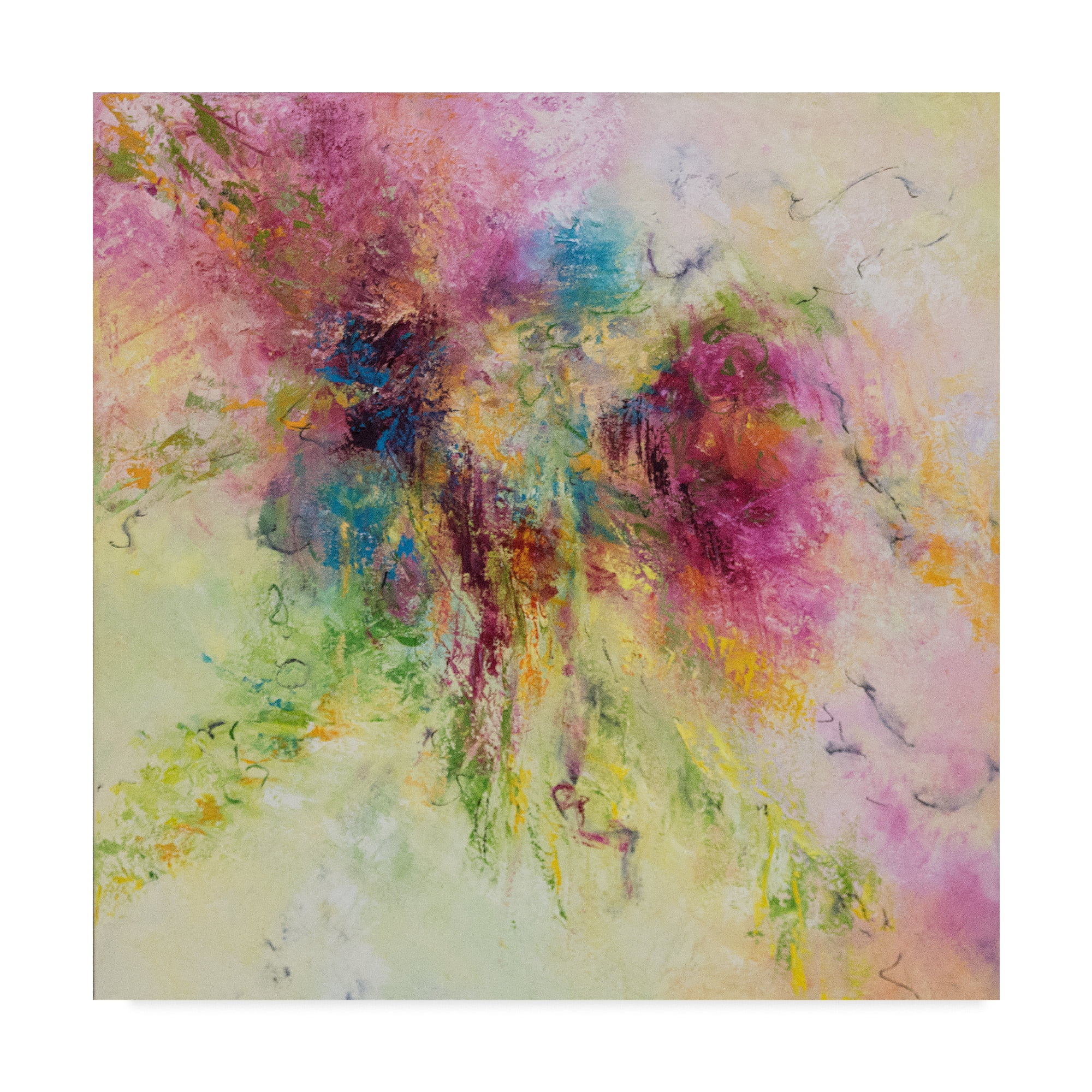 Trademark Fine Art 'A Walk in the Garden' Canvas Art by Aleta Pippin