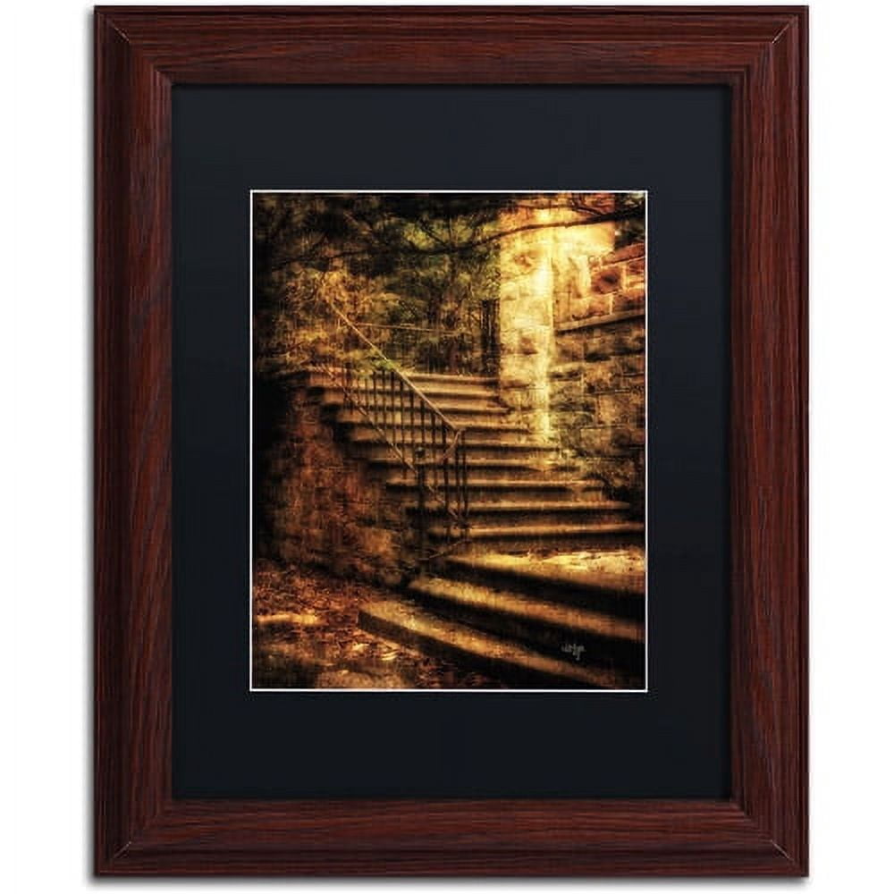 Trademark Fine Art "Abandoned Stone Staircase" Canvas Art by Lois Bryan, Black Mat, Wood Frame