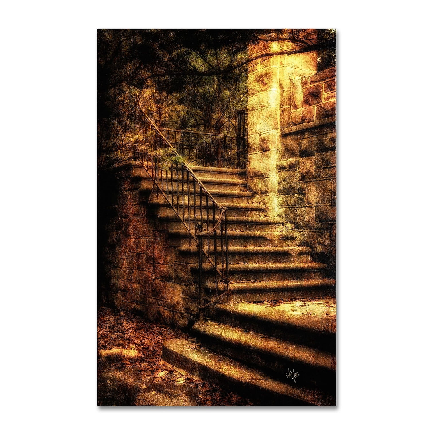 Trademark Fine Art "Abandoned Stone Staircase" Canvas Art by Lois Bryan