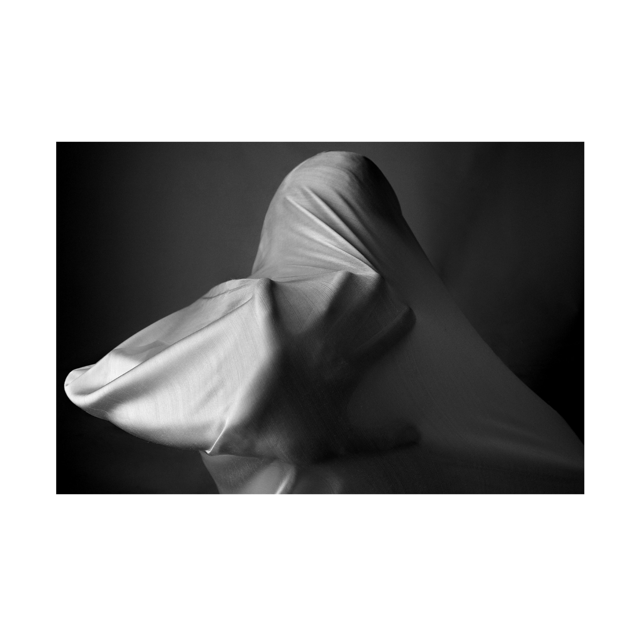 Trademark Fine Art Abbas Arabzadeh Fanatic Canvas Wall Art