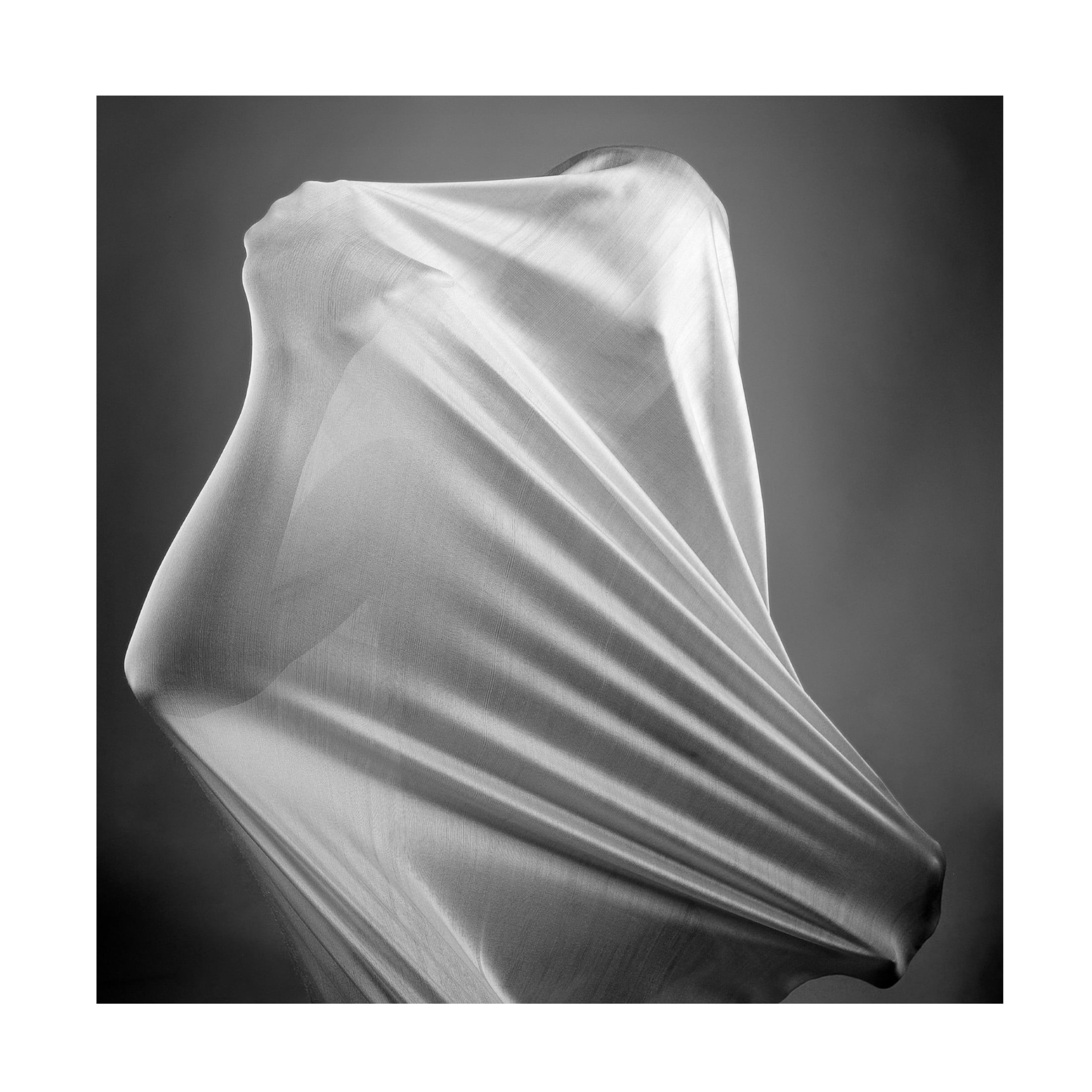 Trademark Fine Art Abbas Arabzadeh In the cocoon Canvas Wall Art