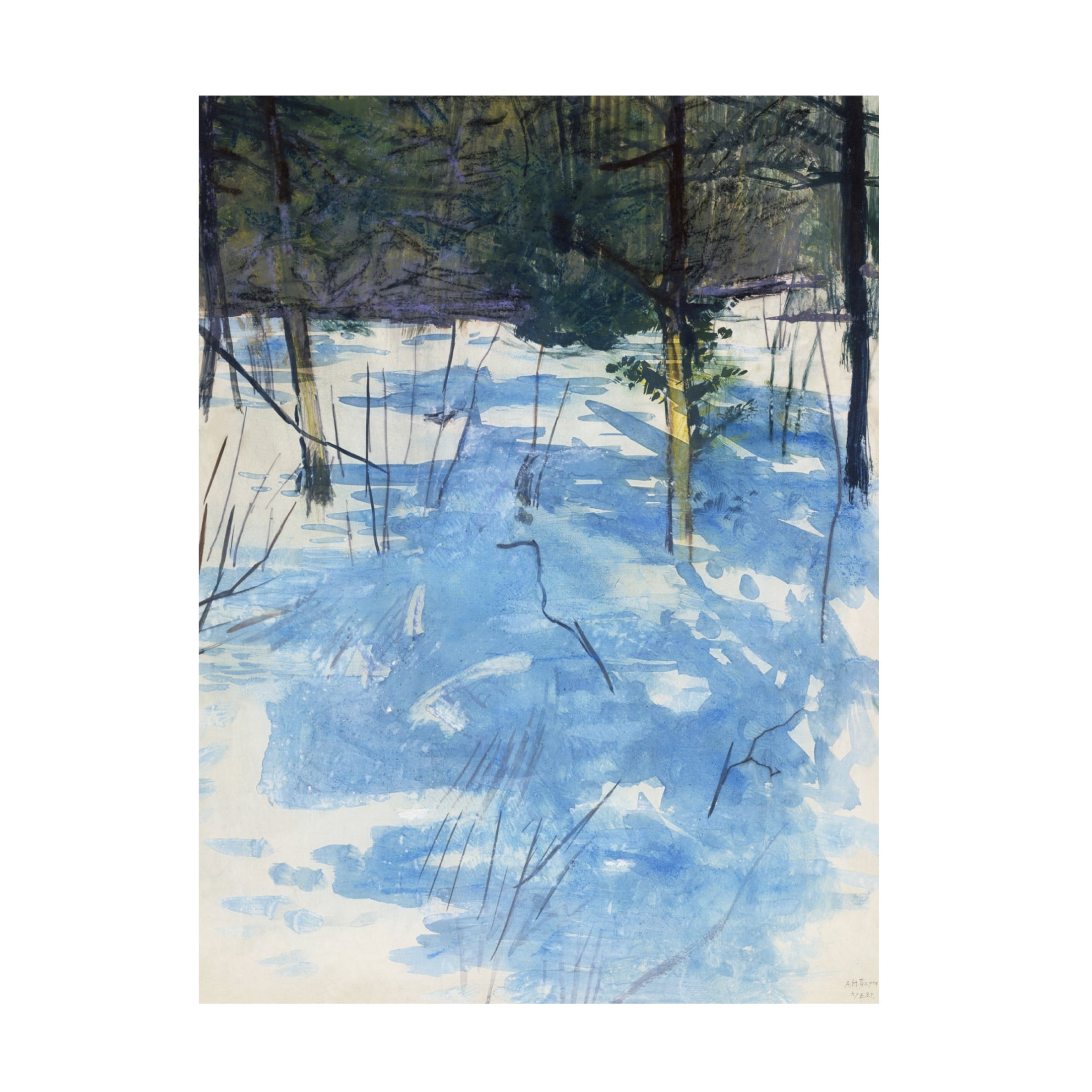 Trademark Fine Art Abbott Handerson Thayer  Thayer Landscapes I Canvas Wall Art