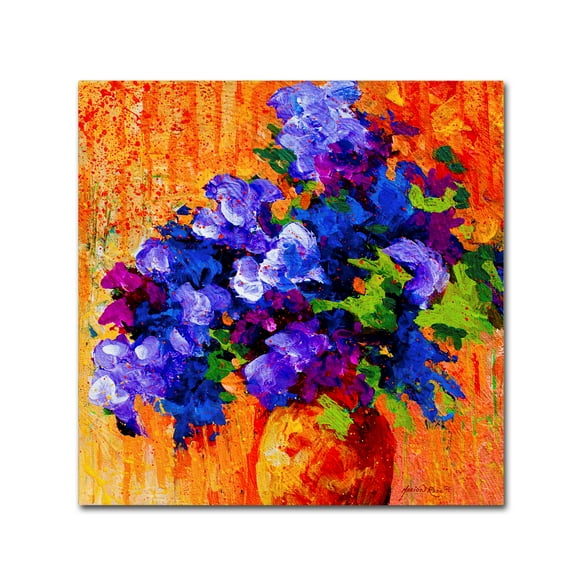 Trademark Fine Art 'Abbouquet' Canvas Art by Marion Rose