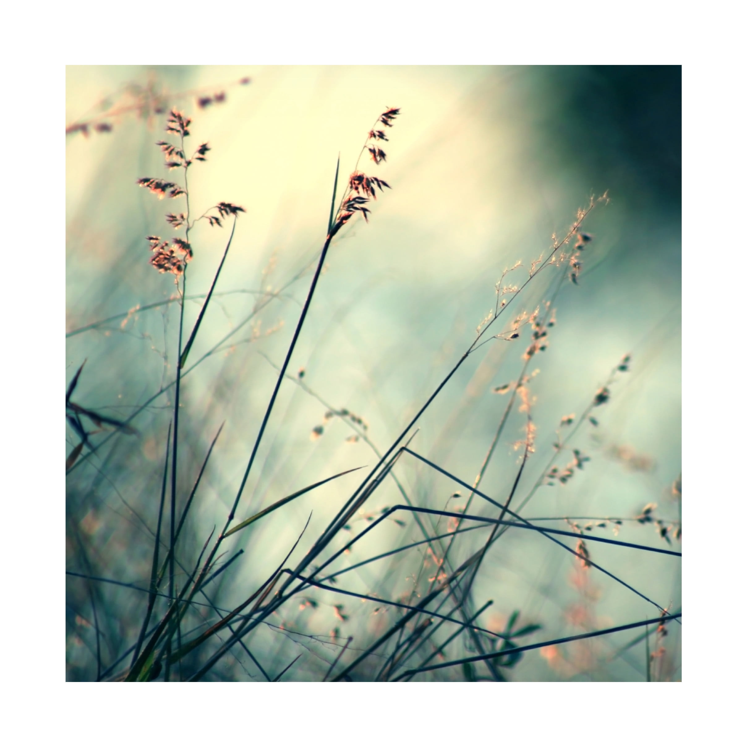 Trademark Fine Art "About Hope" Canvas Art by Beata Czyzowska Young