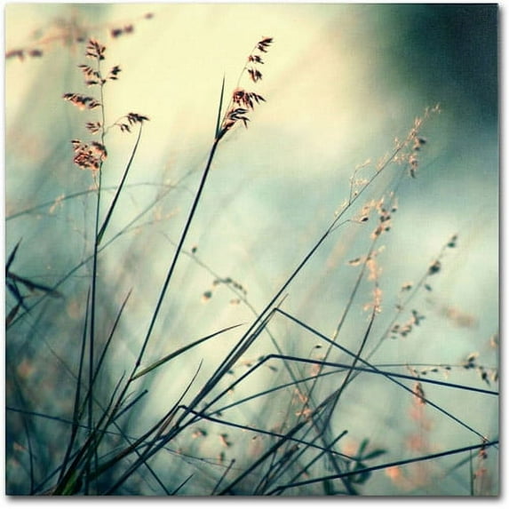 Trademark Fine Art "About Hope" Canvas Art by Beata Czyzowska Young