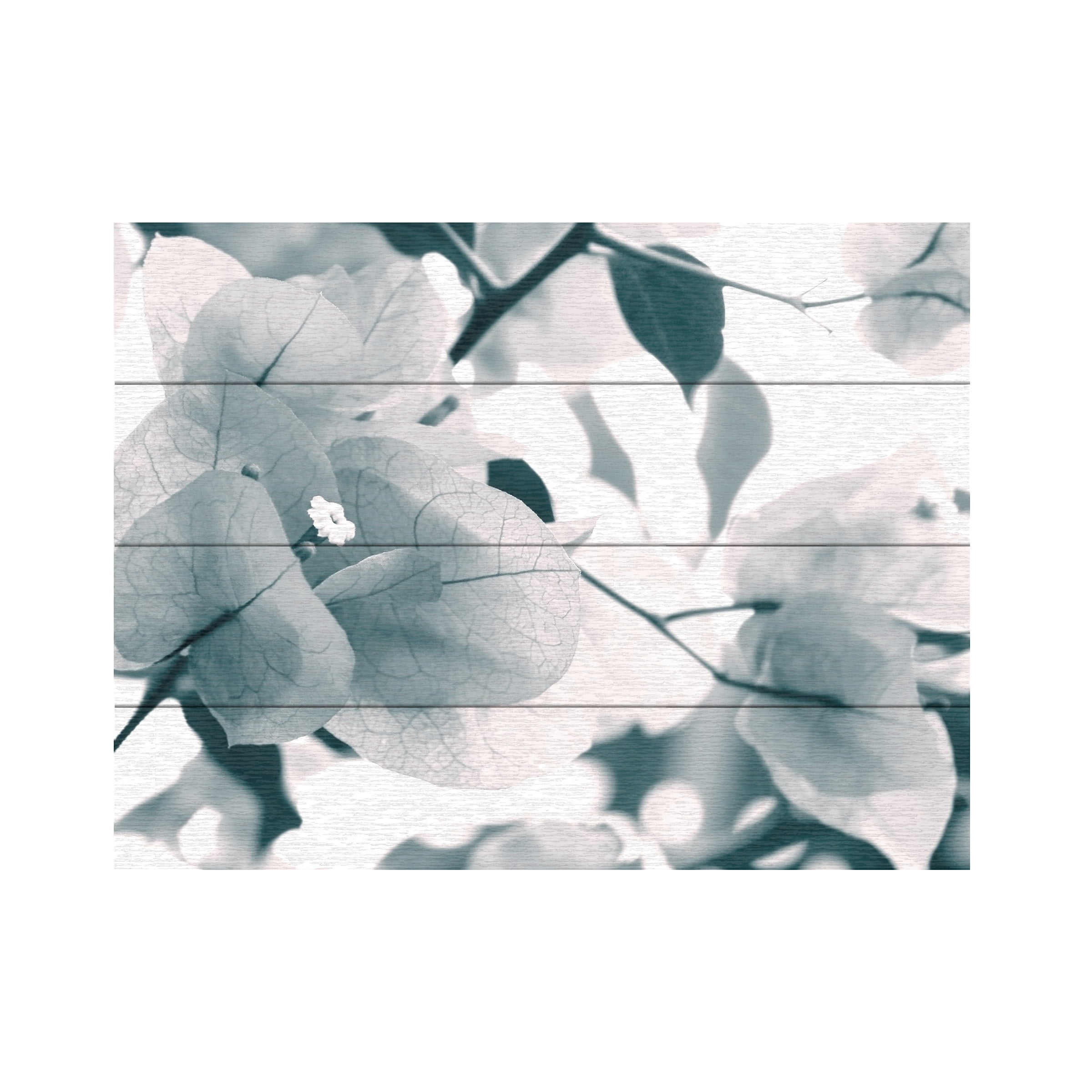 Trademark Fine Art 'About a Flower' Wooden Wall Art Art by Beata Czyzowska Young