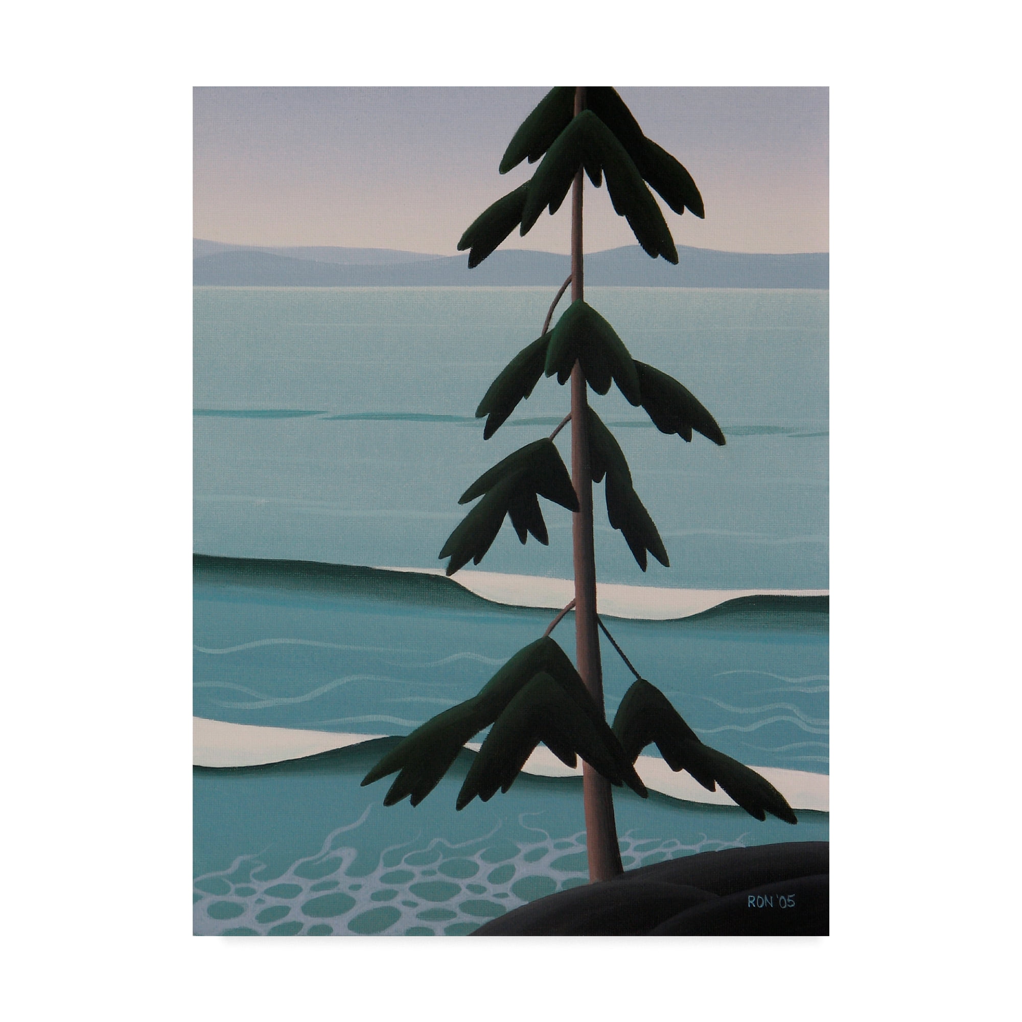 Trademark Fine Art 'Above The Surf' Canvas Art by Ron Parker