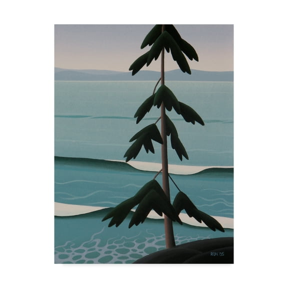 Trademark Fine Art 'Above The Surf' Canvas Art by Ron Parker