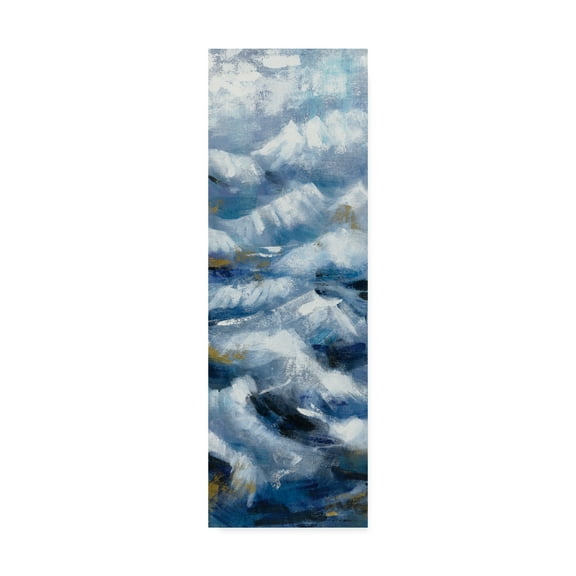 Trademark Fine Art 'Above the Mountains II' Canvas Art by Silvia Vassileva
