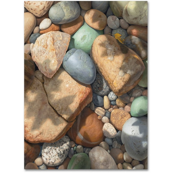 Trademark Fine Art "Above the Shadows Break" Canvas Art by Stephen Stavast