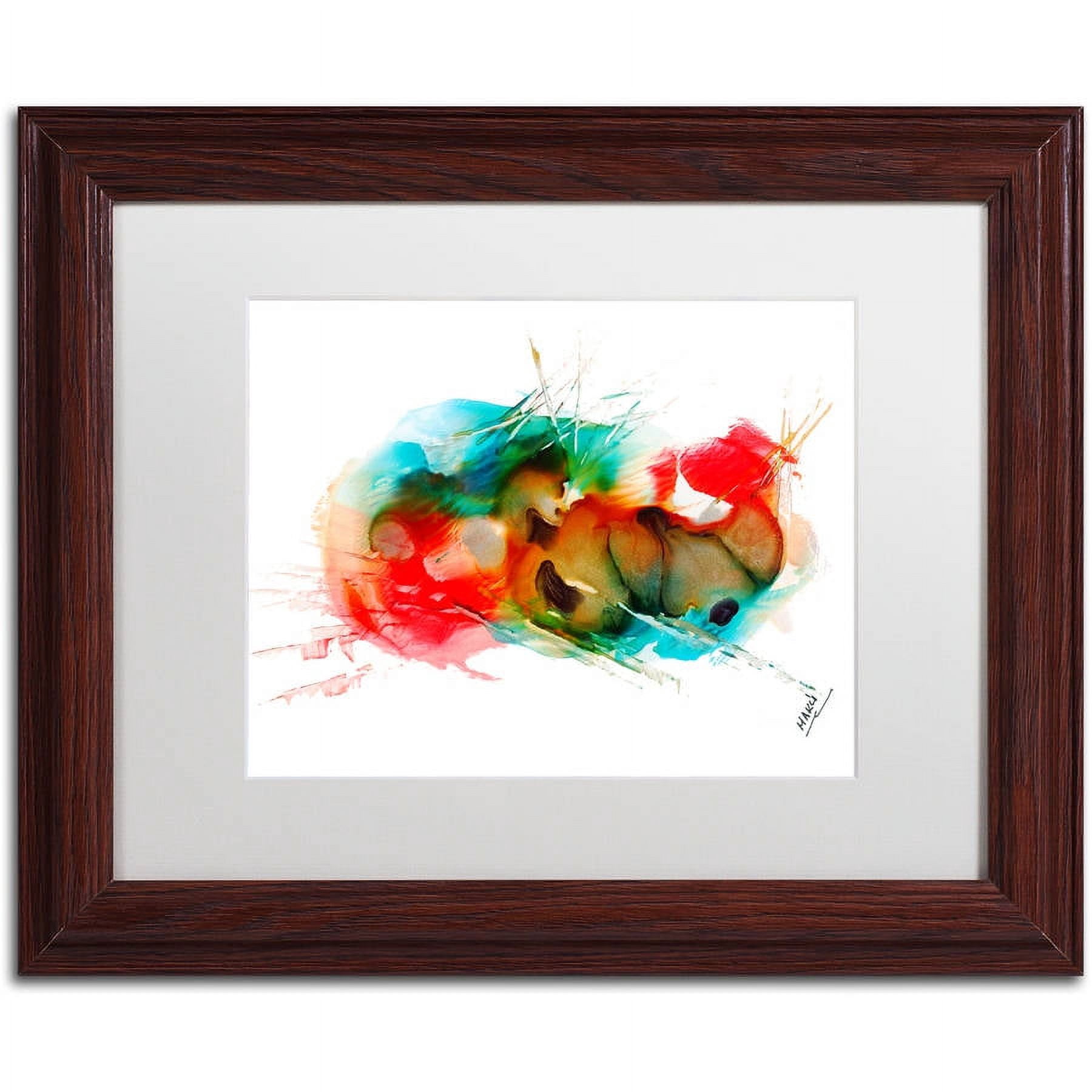 Trademark Fine Art "Abstract 01" Canvas Art by Mako, White Matte, Wood Frame