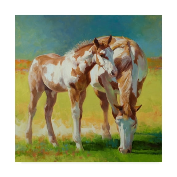 Trademark Fine Art 'Abstract Art' Canvas Art by Julie T. Chapman