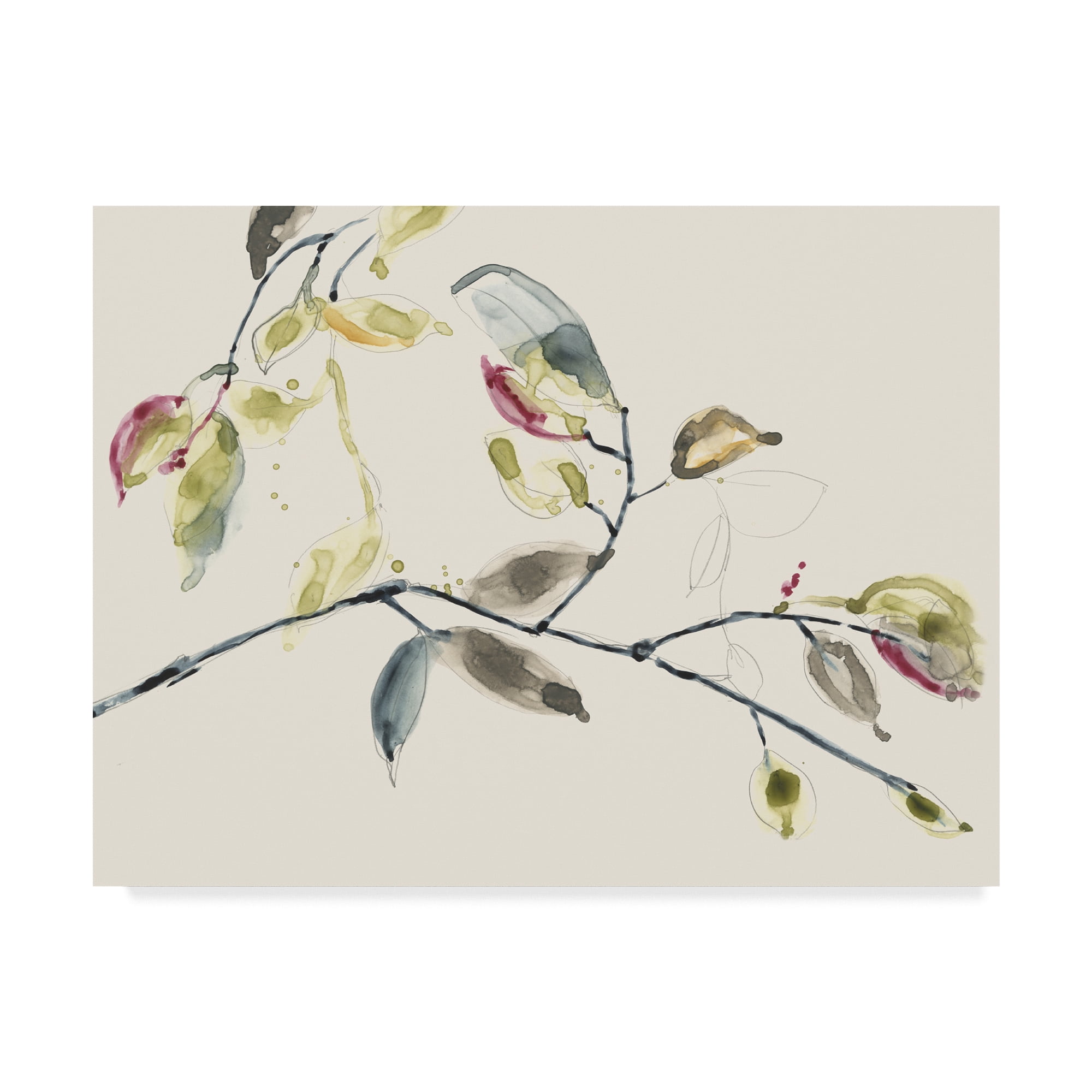 Trademark Fine Art Abstract Canvas Art ' Leaf Branch Ii ' by Jennifer Goldberger
