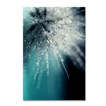 Trademark Fine Art Abstract Canvas Art ' Morning Sonata ' by Beata Czyzowska Young
