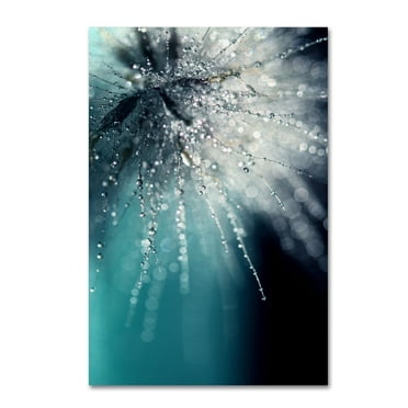 Trademark Fine Art Abstract Canvas Art ' Morning Sonata ' by Beata Czyzowska Young