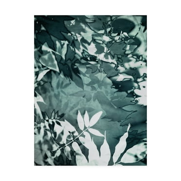 Trademark Fine Art 'Abstract Leaves' Canvas Art by Iris Lehnhard