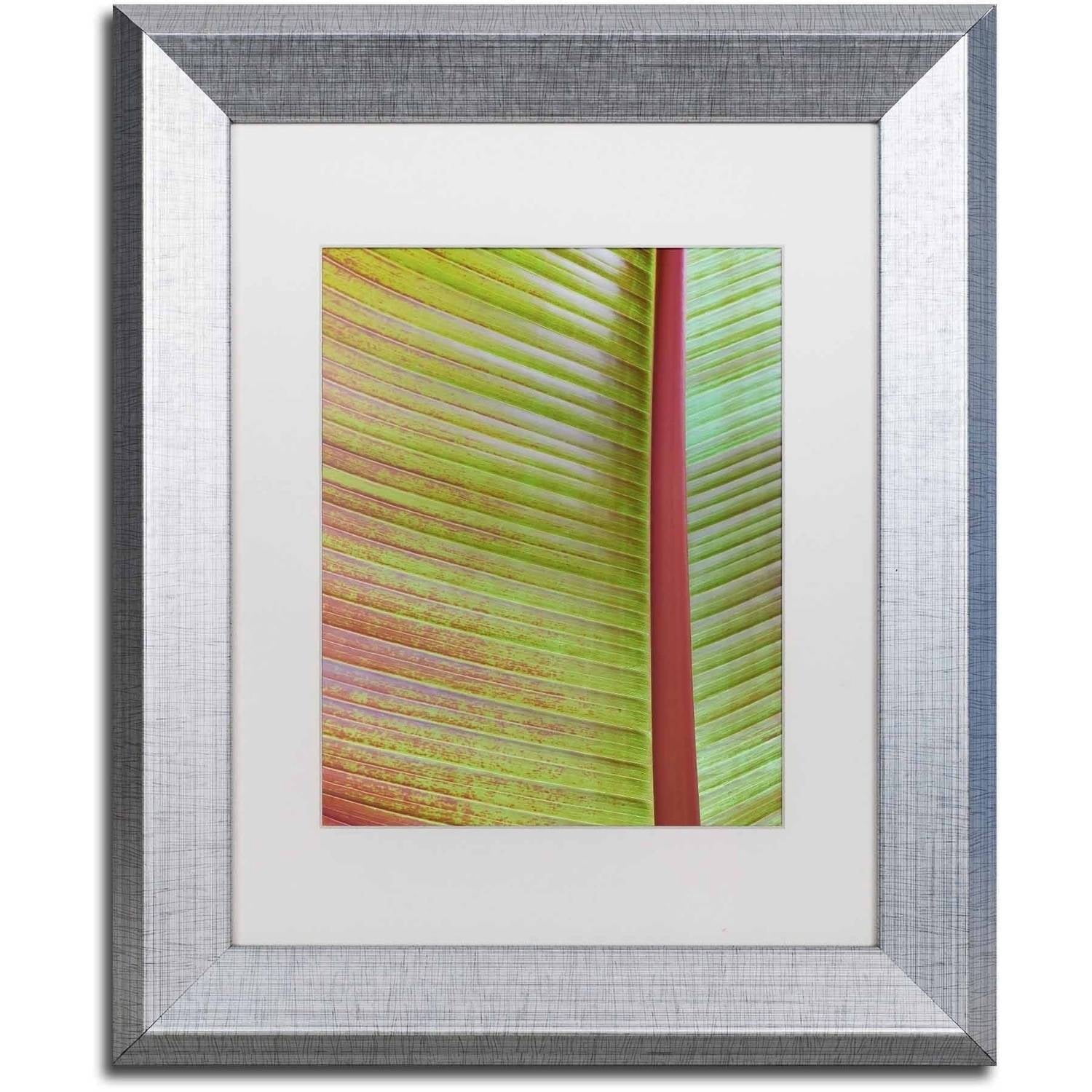 Trademark Fine Art Abstract Matted Framed Art ' Leaf Texture VI ' by Cora Niele
