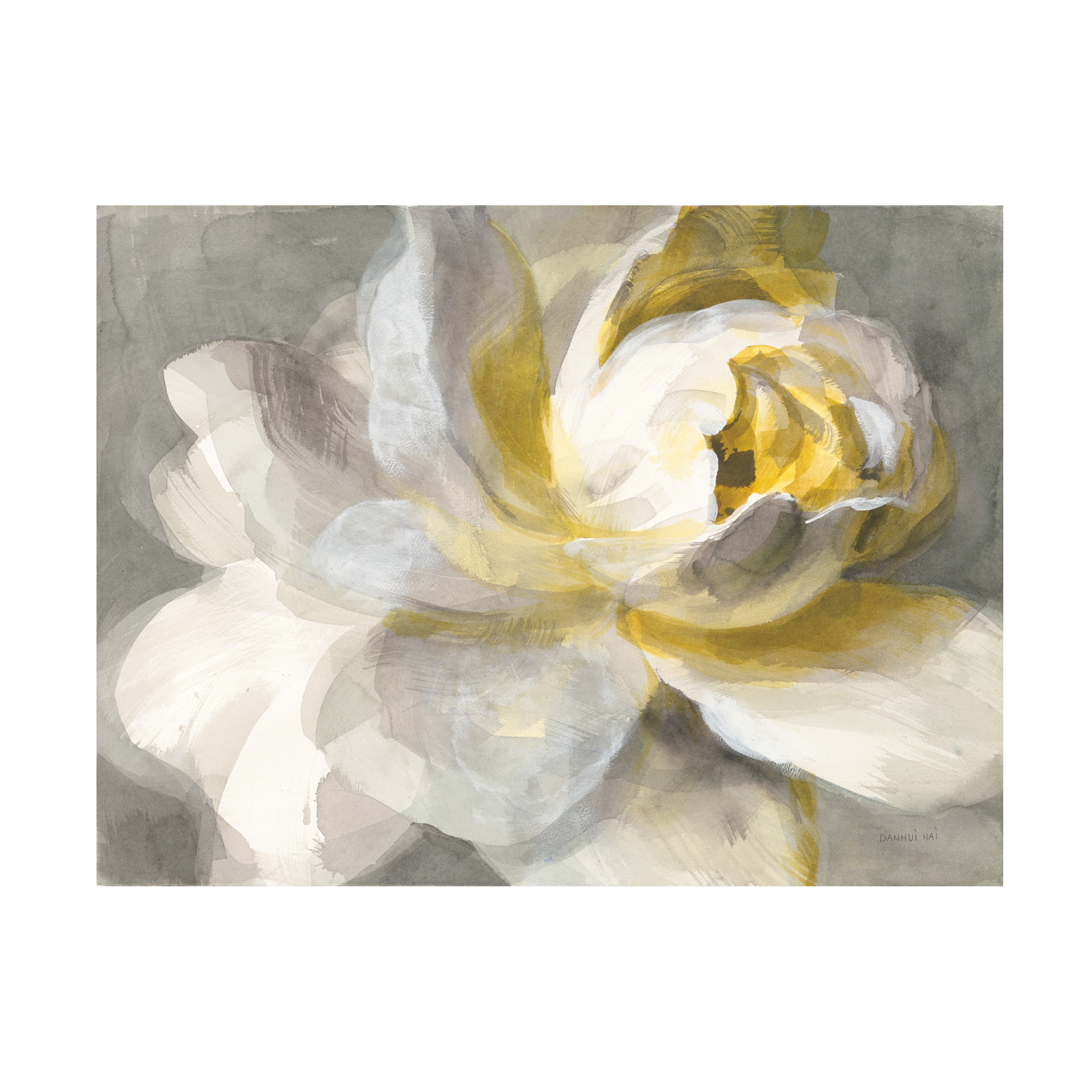 Trademark Fine Art 'Abstract Rose' Canvas Art by Danhui Nai