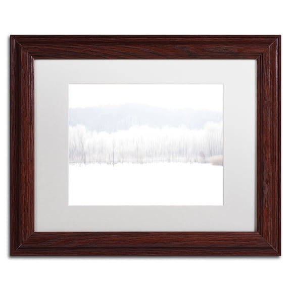 Trademark Fine Art "Abstract Winter Beaver Marsh" Canvas Art by Kurt Shaffer White Mat, Wood Frame