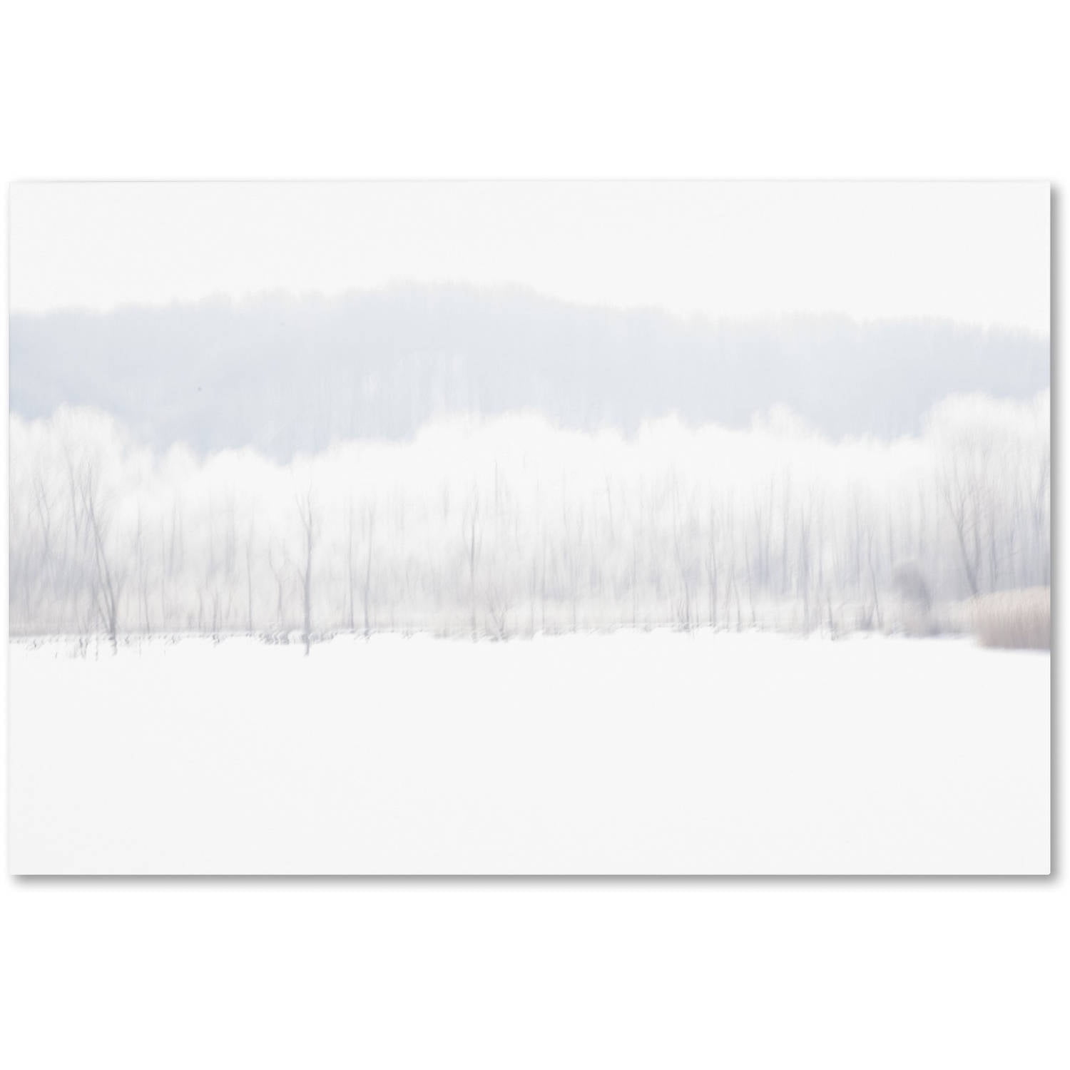Trademark Fine Art "Abstract Winter Beaver Marsh" Canvas Art by Kurt Shaffer