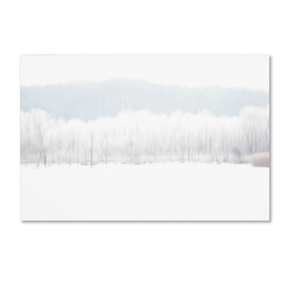 Trademark Fine Art "Abstract Winter Beaver Marsh" Canvas Art by Kurt Shaffer